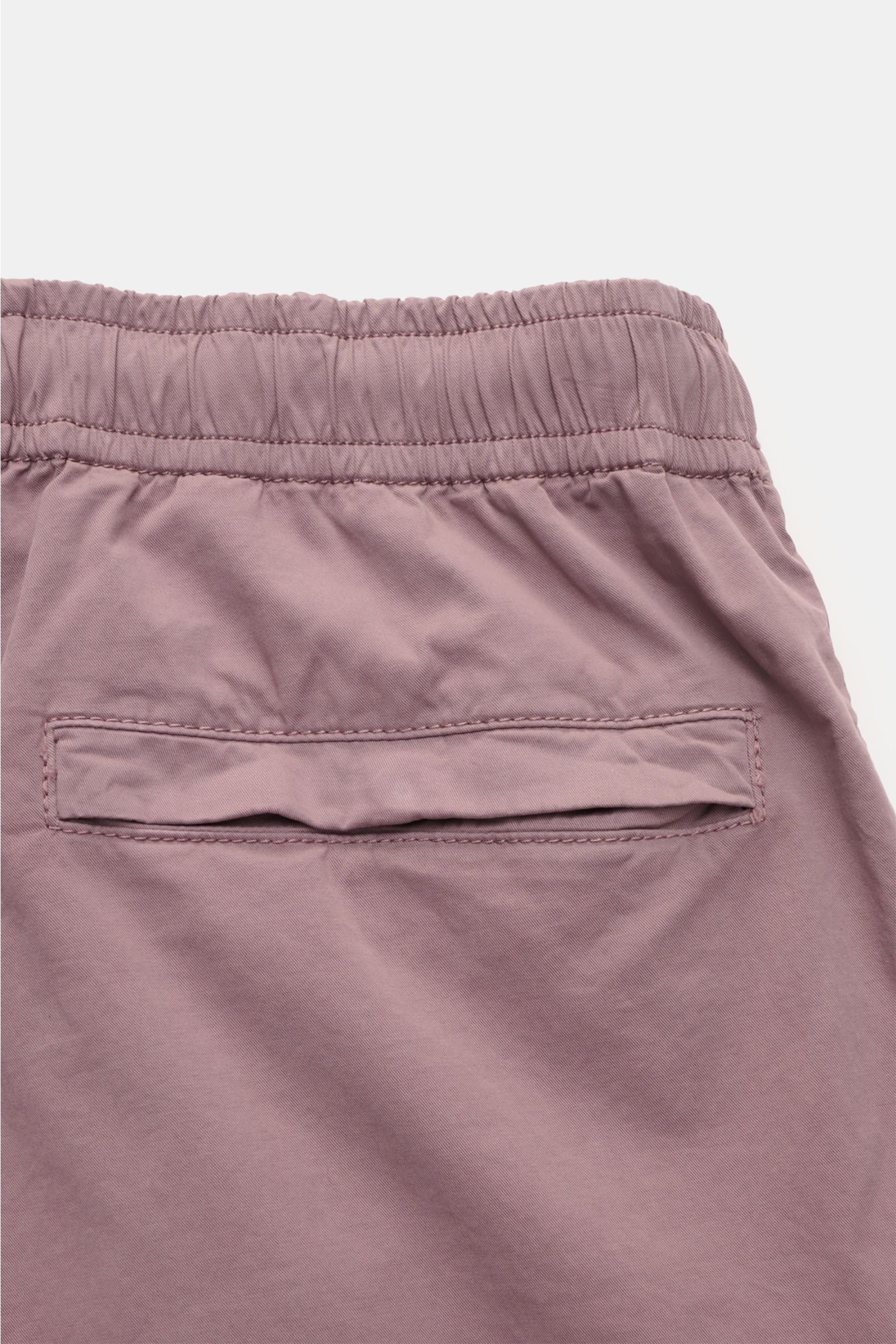 Stone Island Jogger pants - purple